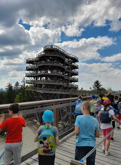 198512478_486035812485499_4385129960745999584_n.jpg